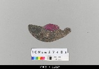 藏品(中國湖北皮影戲盔帽)的圖片